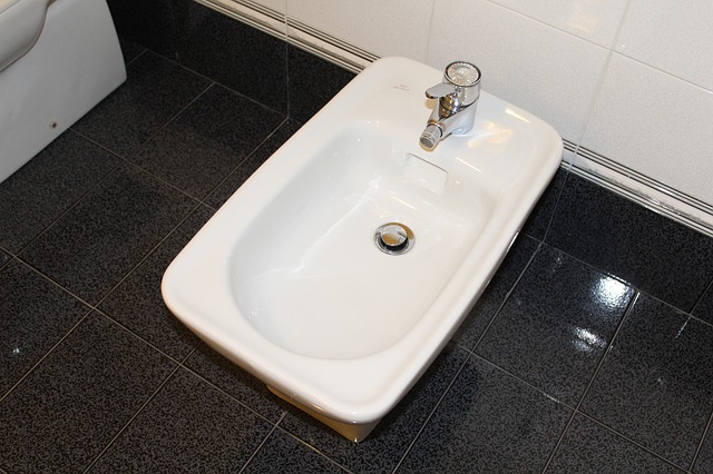 Bidet sheet for cleanliness