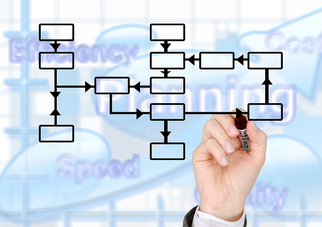 High Brain capacity is a Prerequisite for business analysts